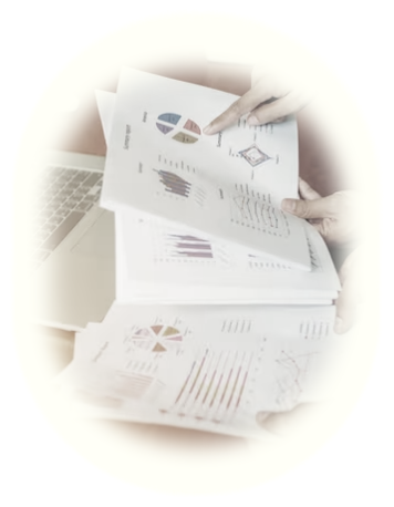 Transaction Risk Analysis